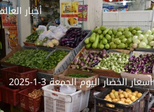 أسعار الخضار اليوم بالكيلو الجمعة 3-1-2025 في سوق العبور